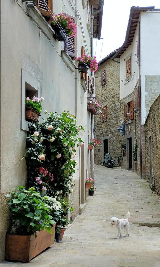 Casa Agata, Accogliente Appartamento Nel Centro Storico Cortona Exteriör bild
